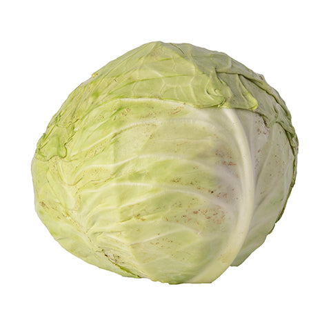 Cabbage White