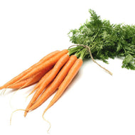 Carrot Dutch Orange Bunch