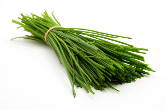 Chives Bunch