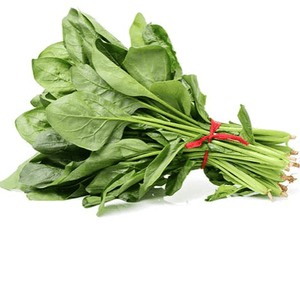 English Spinach Bunch