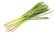 Lemongrass Bunch