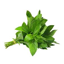 Mint Bunch