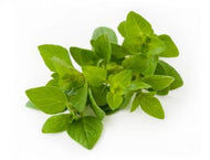 Oregano Bunch