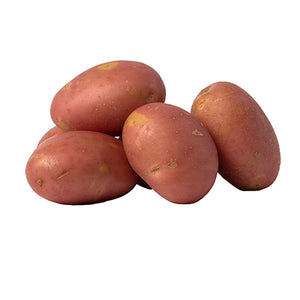 Potato Red Desiree
