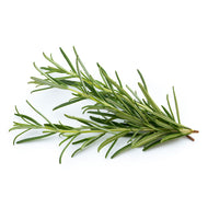 Rosemary Bunch