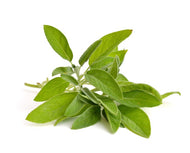 Sage Bunch