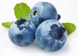 Blueberries - Aussie Jumbo