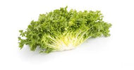 Endive Bunch