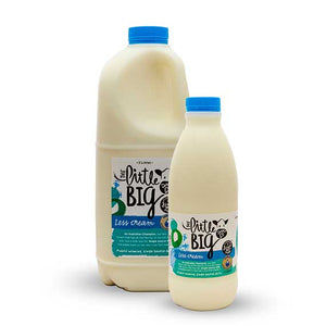 Little Big Dairy Less Cream Milk - 2L