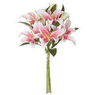 Lillies - Pink